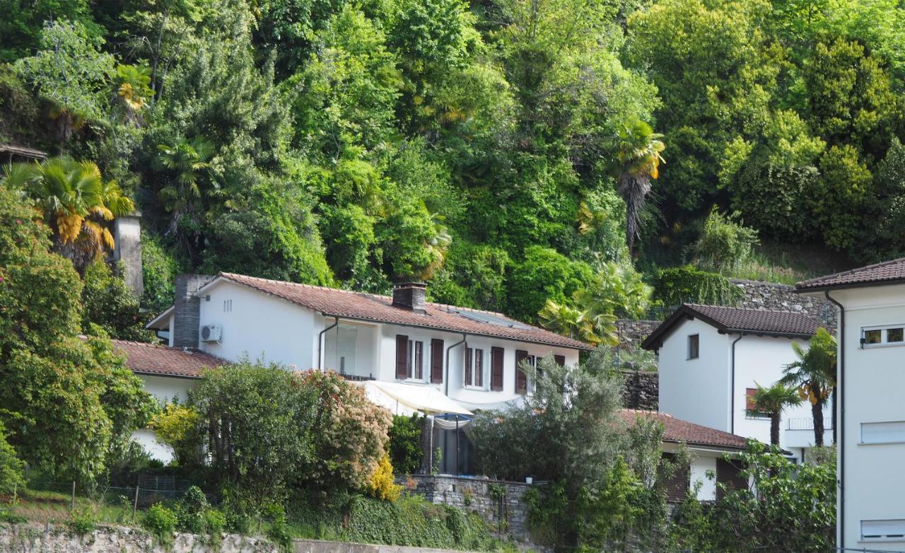 Hotel Be Easy In Selva Locarno Zewnętrze zdjęcie